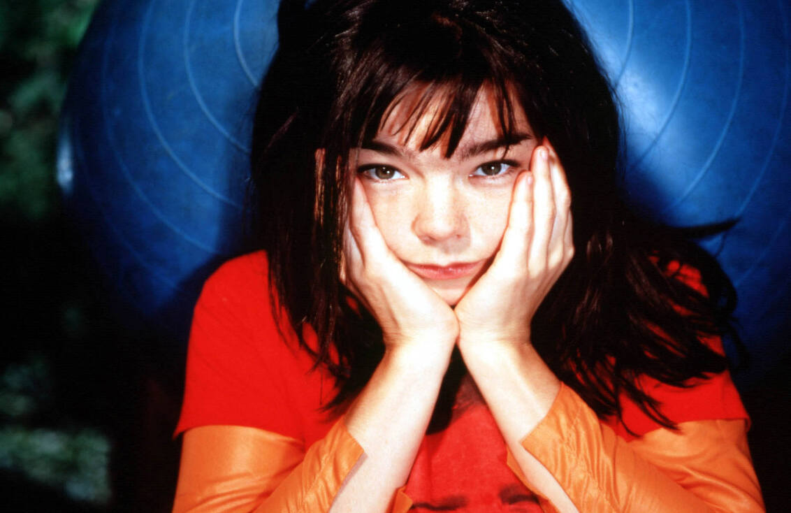 Bjork photo 70 of 186 pics wallpaper  photo 69047  ThePlace2