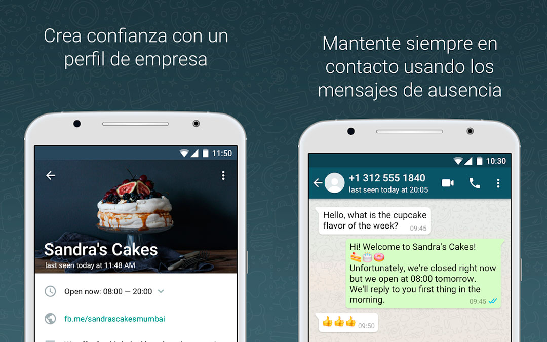 Interfaz de Whatsapp For Business, mostrando los elementos del chat.